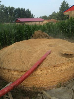 小型粮食吸粮机田间使用